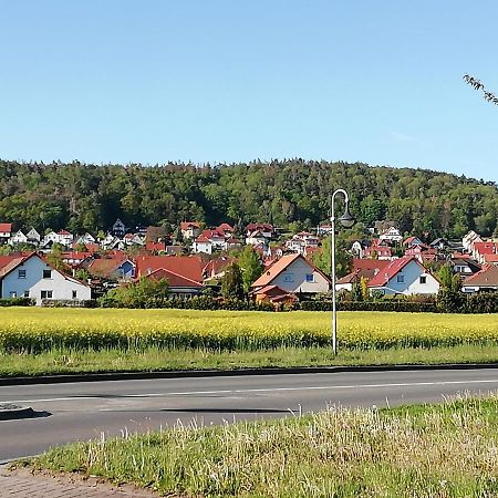 Ferienwohnung 40Qm Gernrode Gernrode  Buitenkant foto